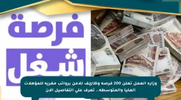 وزارة العمل تعلن 200 فرصة وظائف للأمن برواتب مغرية للمؤهلات العليا والمتوسطة.. تعرف على التفاصيل الآن